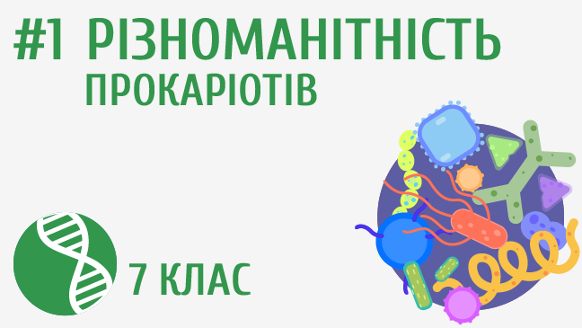 Різноманітність прокаріотів