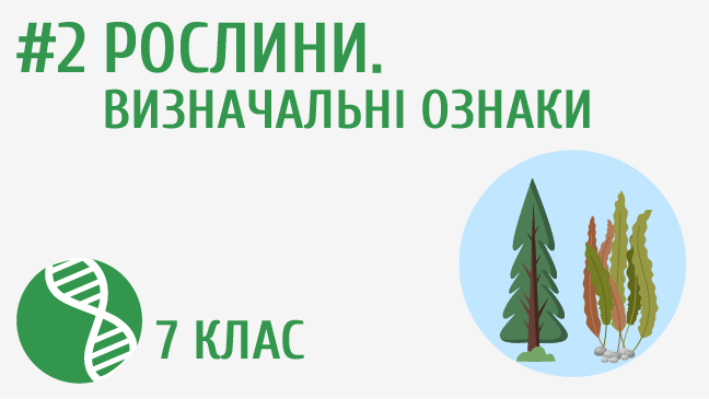 Рослини. Визначальні ознаки