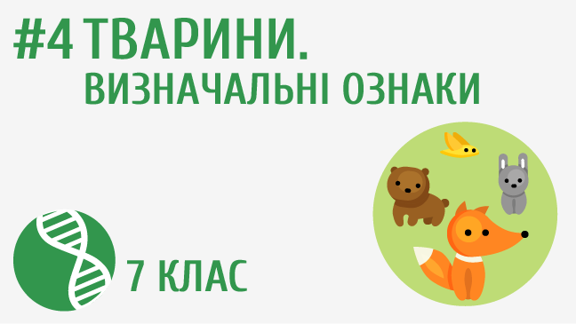 Тварини. Визначальні ознаки