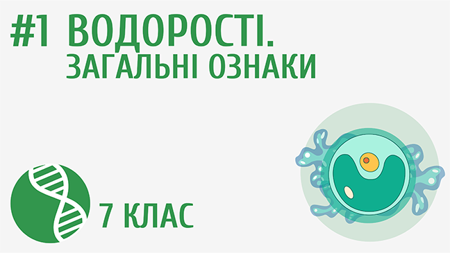 Водорості. Загальні ознаки