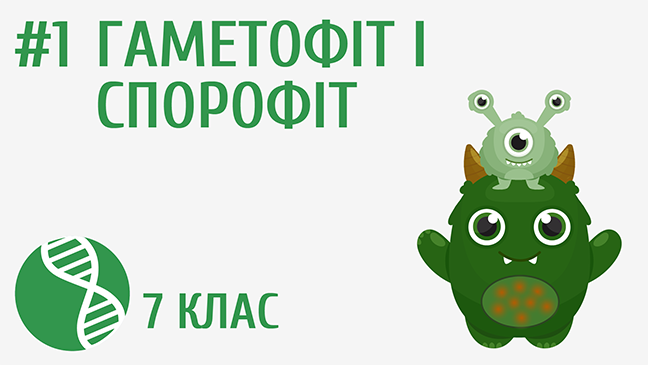 Гаметофіт і спорофіт