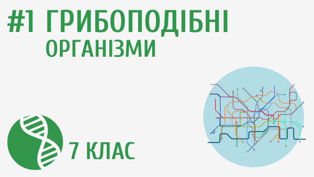 Грибоподібні організми