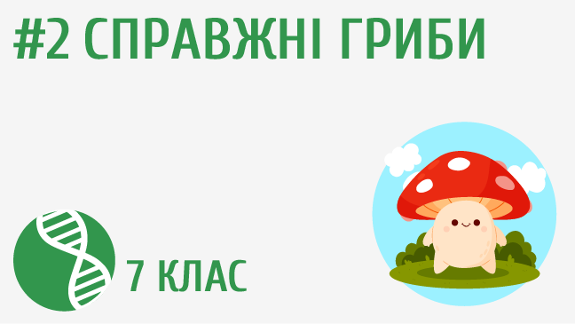 Справжні гриби