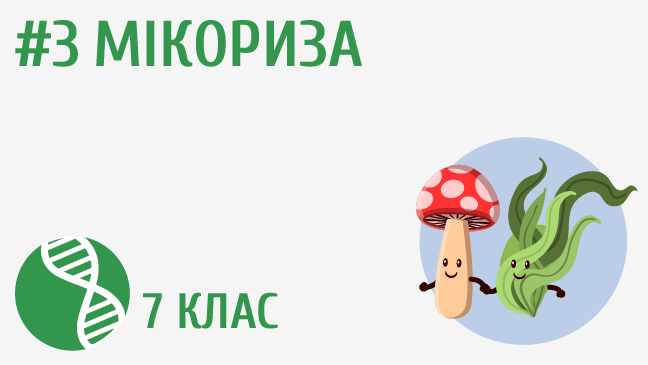 Мікориза