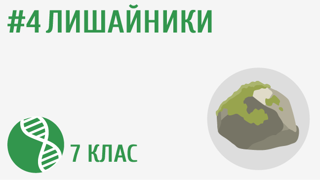 Лишайники