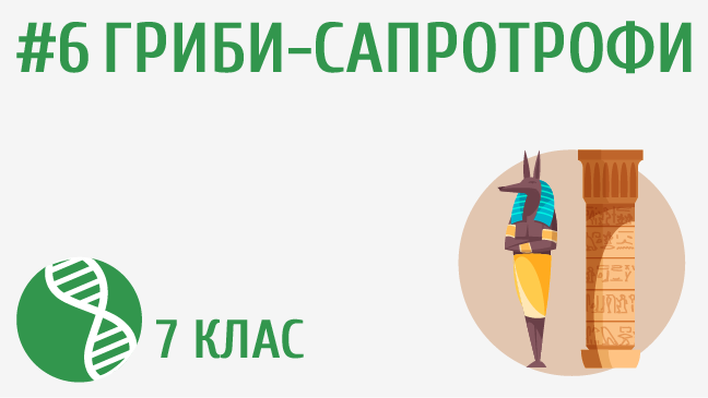 мініатюрний