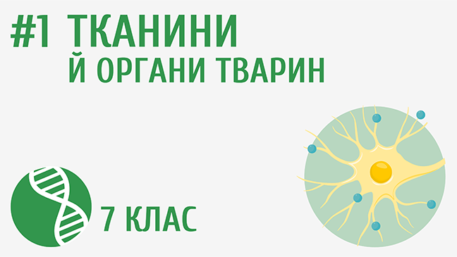 мініатюрний