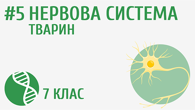 мініатюрний