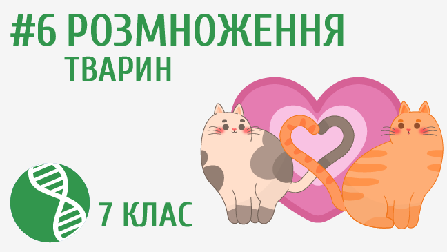 мініатюрний