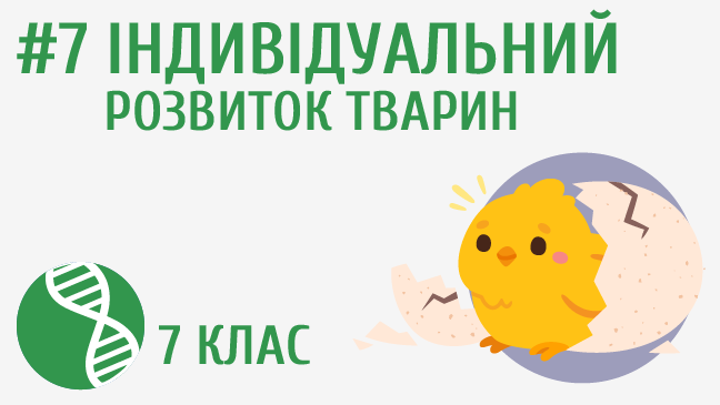 мініатюрний