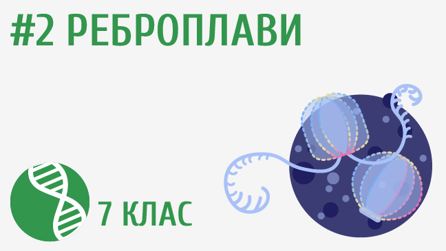 мініатюрний