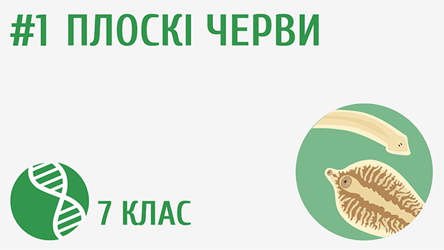 мініатюрний