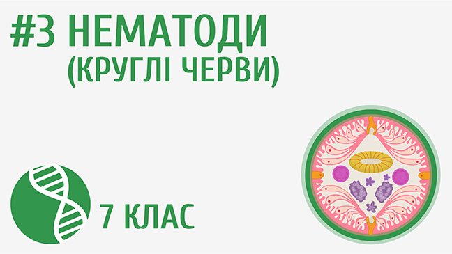 мініатюрний