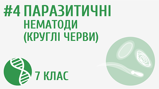 мініатюрний