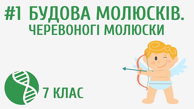 мініатюрний