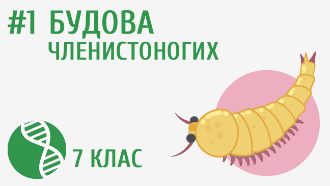 мініатюрний