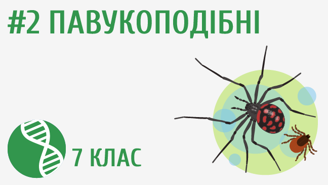мініатюрний