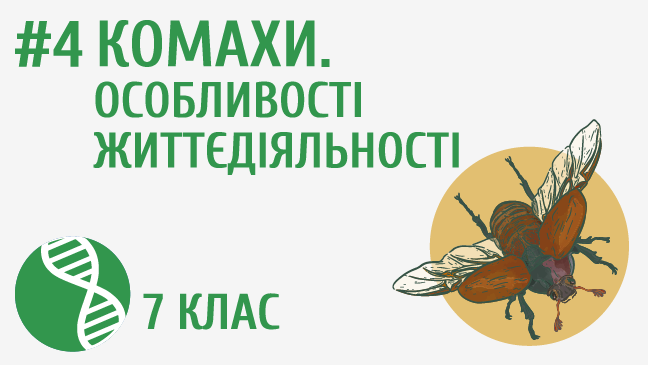 мініатюрний