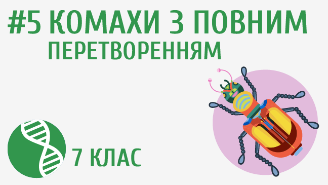 мініатюрний