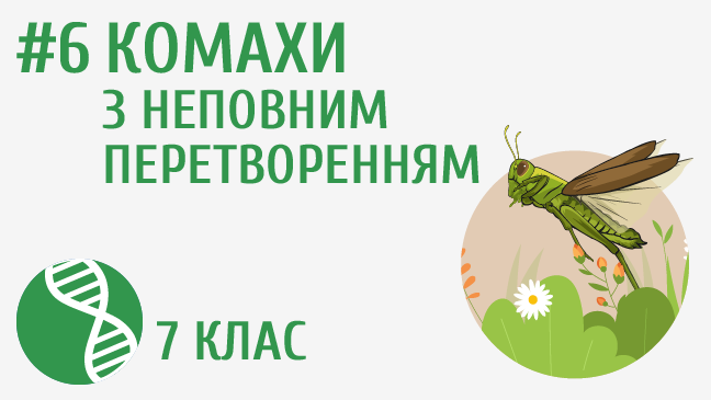 мініатюрний