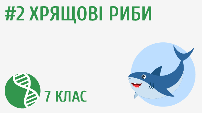 мініатюрний