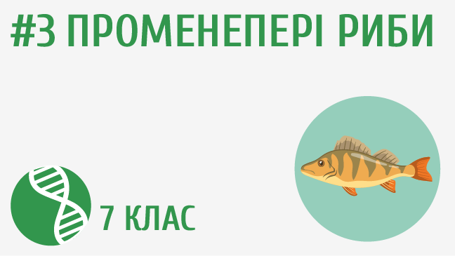 мініатюрний