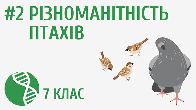 мініатюрний