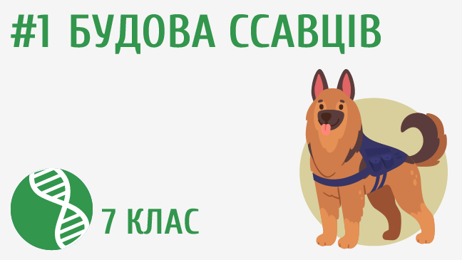 мініатюрний