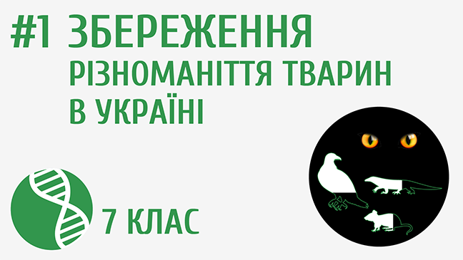 мініатюрний