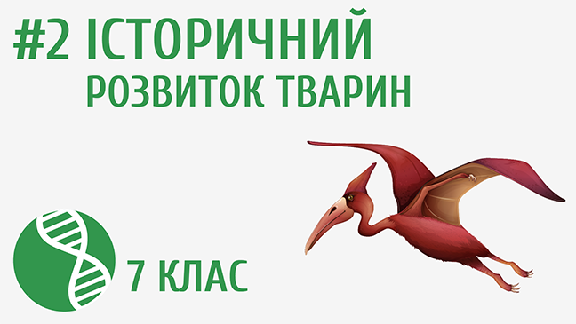 мініатюрний