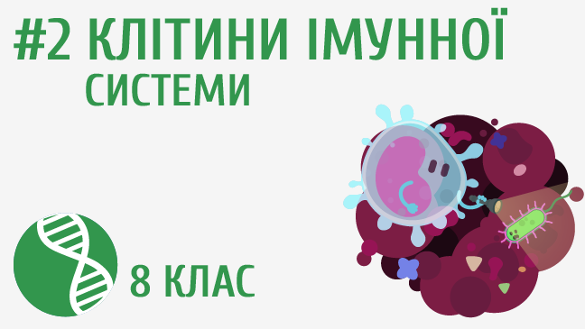 мініатюрний
