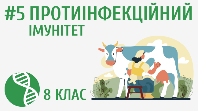 мініатюрний