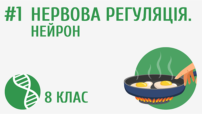 мініатюрний