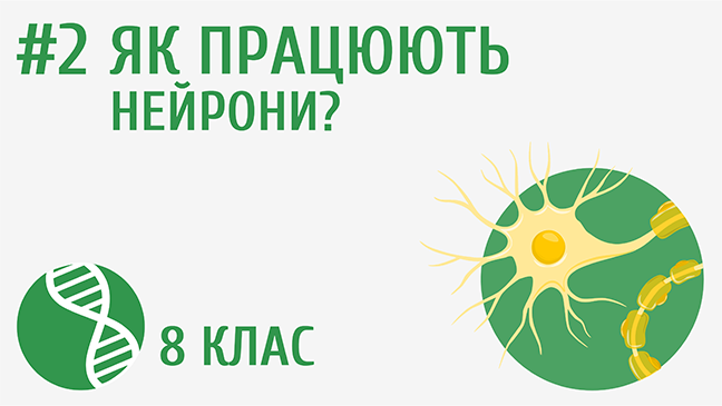 мініатюрний