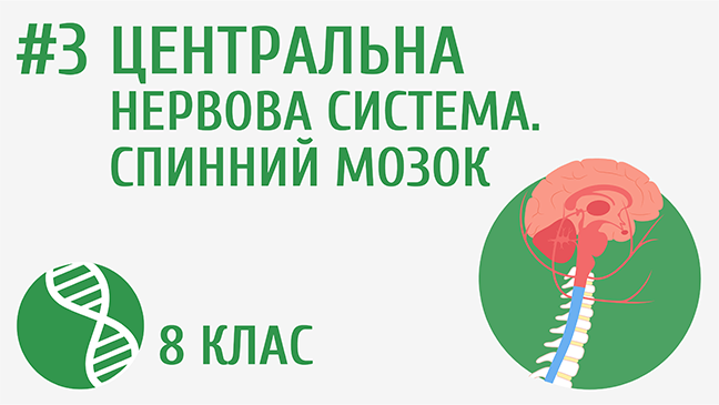 мініатюрний