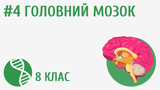 мініатюрний