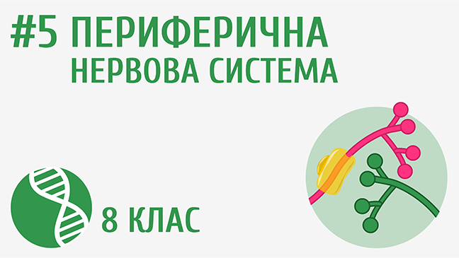 мініатюрний