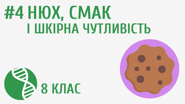 мініатюрний
