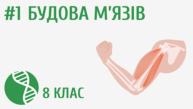 мініатюрний