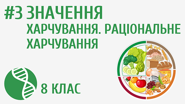 Значення харчування. Раціональне харчування