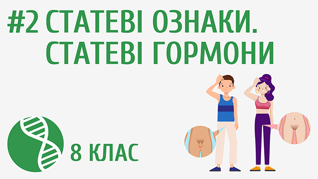 Статеві ознаки. Статеві гормони