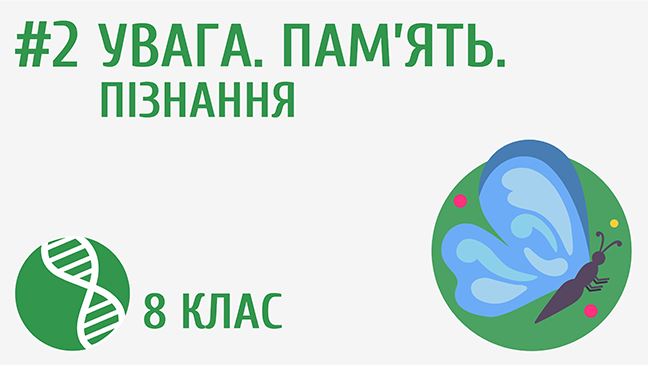 Увага. Пам’ять. Пізнання