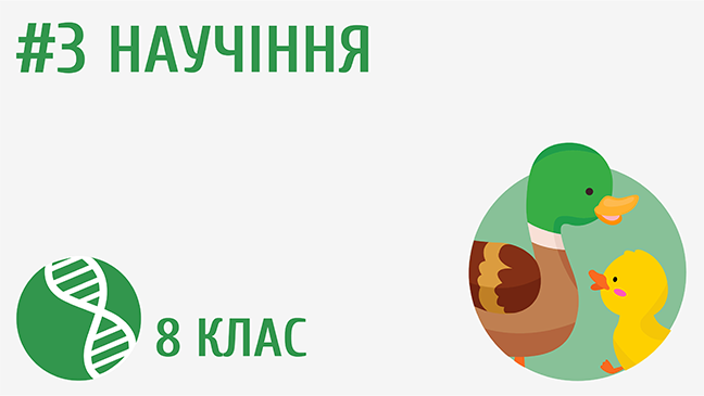 Научіння