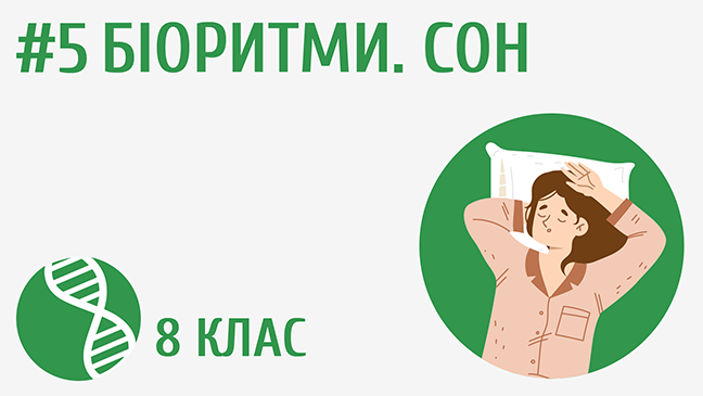 Біоритми. Сон