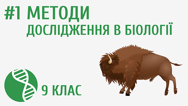 Моделі в біології