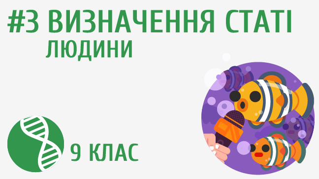 Теорія визначення статі