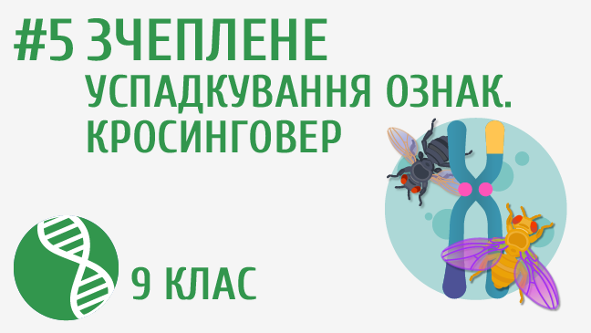 мініатюрний