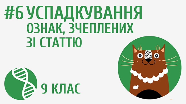 Успадкування ознак зчеплених зі статтю