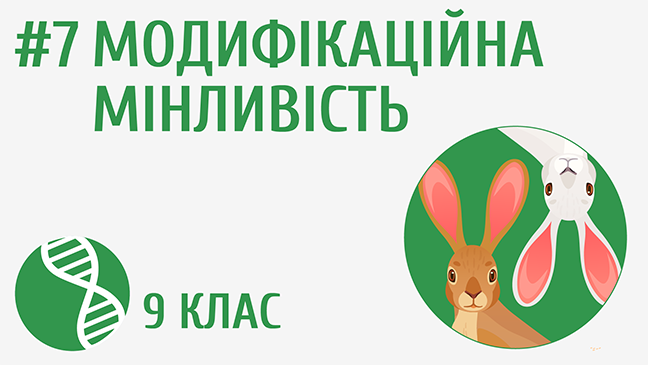 Модифікаційна мінливість