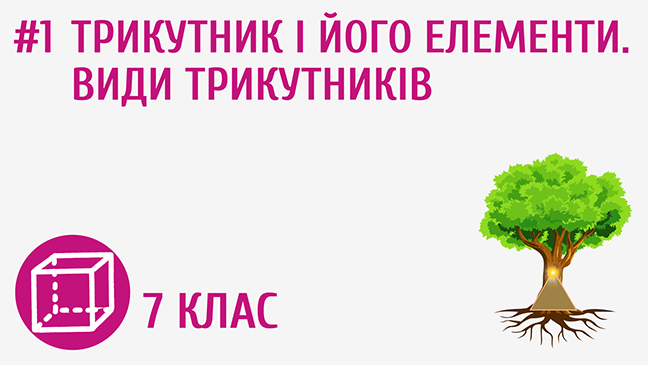 Трикутник і його елементи. Види трикутників